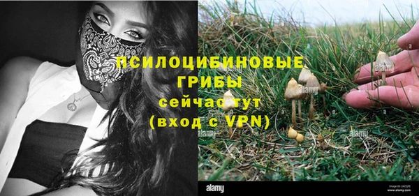 ALPHA-PVP Армянск