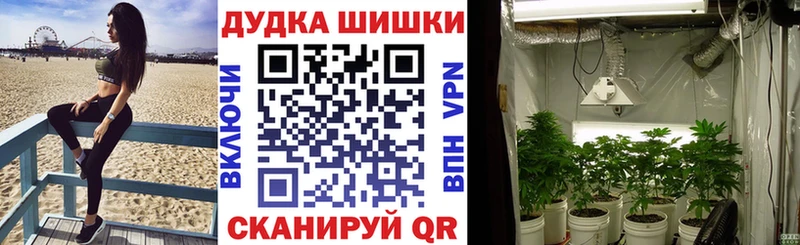 Бошки Шишки SATIVA & INDICA kraken сайты даркнета Telegram Ишимбай